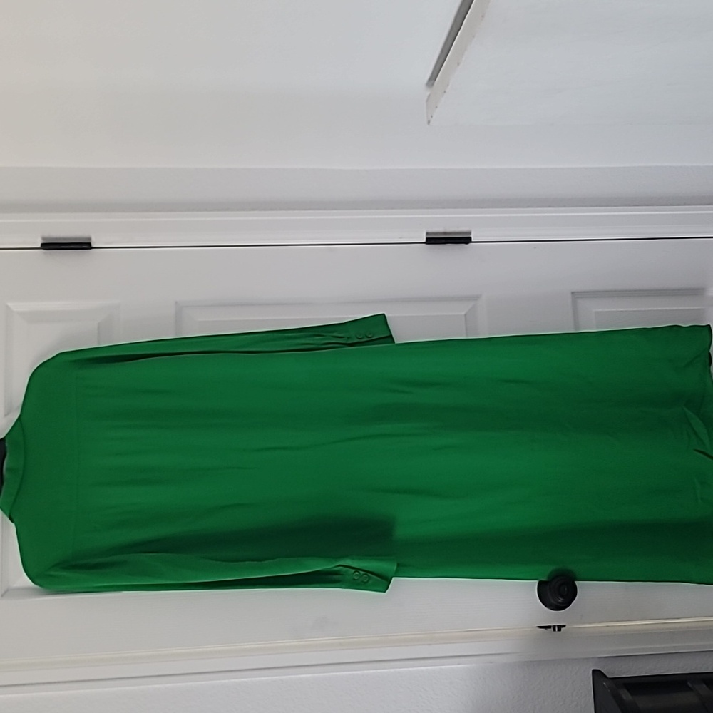 Pinko Vibrant Green Long Sleeve Dress - Picture 4 of 5
